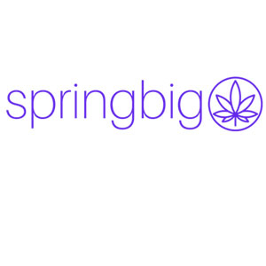spring big